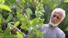 پېښور کې بزګر