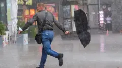 дощі