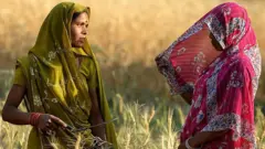 ਖੇਤੀ, ਕਾਨੂੰਨ