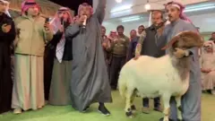 عرض لشراء نعجة في الكويت بسعر خيالي