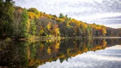 Colorful trees are seen during autumn in Mount Tom State Reservation, in Holyoke town of Massachusetts