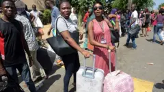 Ụmụakwụkwọ na-ala maka abụbụọrụ