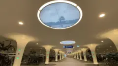 পার্কিং