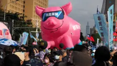 台灣勞工團體「秋斗」遊行上一隻「我是萊豬」巨型充氣玩偶（22/11/2020）