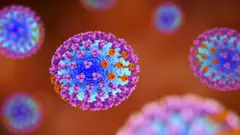 Le virus de la grippe