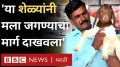 औरंगाबादच्या रवी राजपूत यांनी आपल्या दीड एकर शेतीच्या मदतीने शेळीपालनाला 12 वर्षांपूर्वी सुरुवात केली.