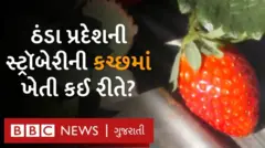 સ્ટ્રૉબેરી