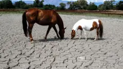 Корсика, өткөн жылдын июль айы