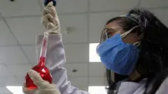 coronavirus vaccine