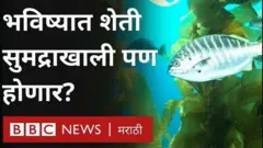 शेती