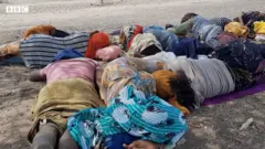 Godaantota Itoophiyaa gammoojjii Jibutii keessatti