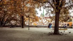 Imagem de um parque com várias árvores e pássaros