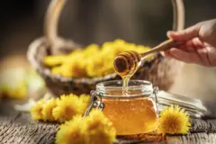 બીબીસી ગુજરાતી મધ મધમાખી ખોરાક બેક્ટેરિયા ફૂડ