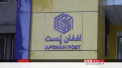 افغان پوست