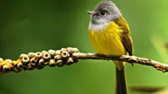 వరల్డ్ ఫొటోగ్రఫీ డే 