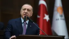 رجب طیب اردوغان، رئیس جمهور ترکیه گفته که کشورش درها را به روی پناهجویان برای سفر به اروپا از طریق این کشور باز کرده است