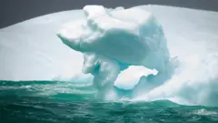பனிப்பாறை