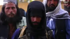 तालिबान