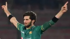 شاہین