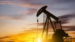 Petrol