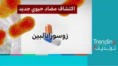 زورسوزابالبين: اكتشاف مضاد حيوي جديد ضد بكتيريا قاتلة
