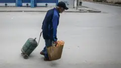 Maanguddoo biyya Tuuniziyaa