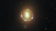 anillo