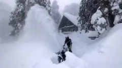 کالیفورنیا واوره