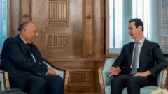 الأسد وشكري