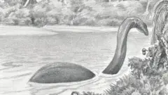 Une représentation d'artiste de la créature réputée Mokele-mbembe. Dessin de David Miller. Image reproduite avec l'aimable autorisation des éditions Brill
