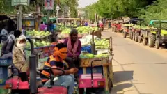 तरबूज़ के किसान