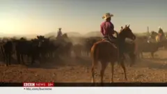 အမေရိကန် လူဝင်မှုကြီးကြပ်ရေး အပေါ် မဲဆန္ဒရှင်တွေရဲ့ သဘောထား