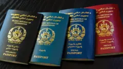 پاسپورت