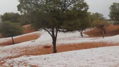 Picture dated January 6th shows a covering of snow in the Sahara Desert near Mekalis in northwestern Algeria.