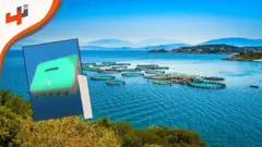 من تونس، تطلعنا عفاف بوهلي على جهاز ابتكرته للمراقبة الذكية لجودة مياه الاستزراع السمكي.