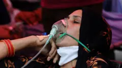 कोरोना व्हायरस