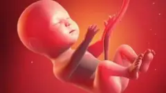 Women and Child