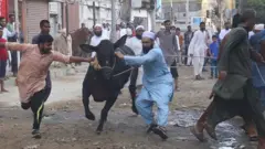 عید الضحیٰ