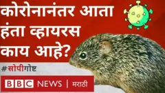 हंता व्हायरस