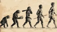 Les humains et les singes ont des ancêtres en commun