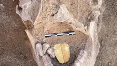 Remains of ancient Egyptian mummy with golden tongue placed inside its mouth, found at Alexandria's Taposiris Magna temple