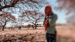 በሰሜን ኢትዮጵያ ግጭቱ ሲቀሰቀስ በትግራይ የነበረች ሴት