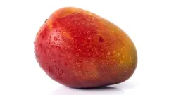 மாம்பழம் கோப்புப் படம்