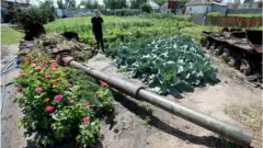 "Всього уродило", кажуть селяни навіть там, де цього року були російські танки. Але ціни на харчі ростуть