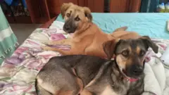 Bunduq and Fred