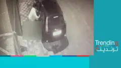 قتل قطة بالدعس عليها في تطوان يغضب المغاربة