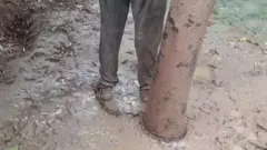 बेटे को ज़ंज़ीरों से बांधा
