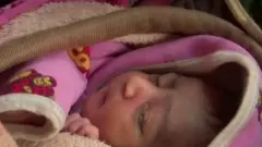 बॉर्डर