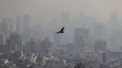 آلودگی