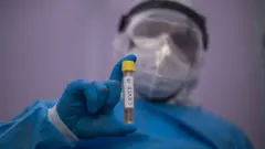 కరోనావైరస్